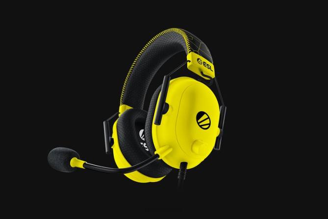 Schwarz Gaming-Audio FB2L87 Blackshark v2 – ESL-Edition Razer