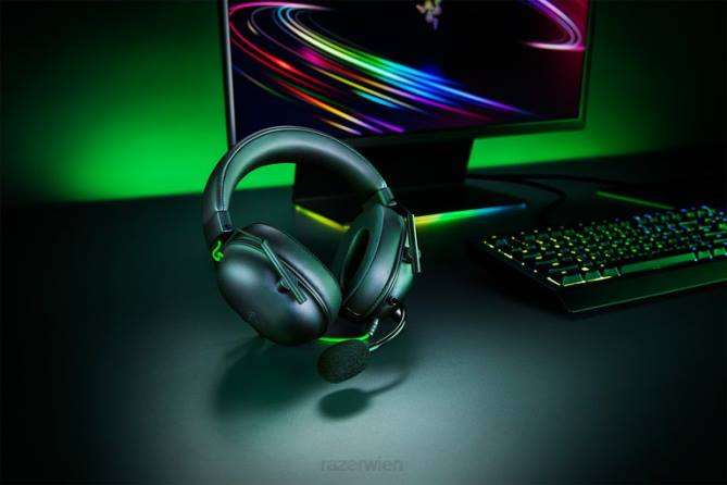 Schwarz Gaming-Audio FB2L89 Blackshark v2 USB Razer