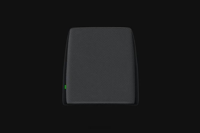 eine Farbe Gaming-Stuhl FB2L146 Lendenkissen Razer